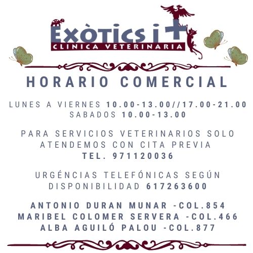 horario